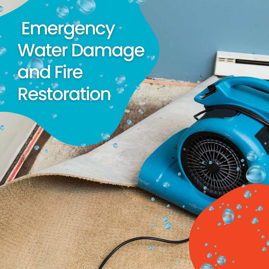  Water Damage Restoration